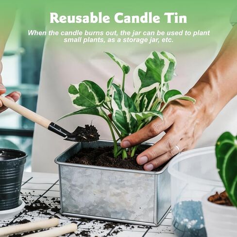 Citronella Candles Outdoor, 2-Wick 24oz Large Citronella Candle, Outdoor Candles up to 160 Hours Burning,2 Pack Soy Wax Summer Candle for Outside Patio Camping, Indoor Emergency or Survival in Saudi Arabia