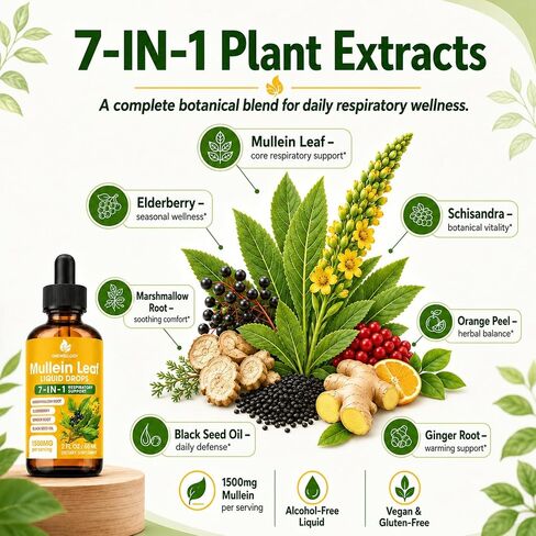 Mullein Drops for Lungs, 7-in-1 1500mg Mullein Leaf Liquid Extract for Lungs Cleanse and Respiratory Support, Lung Detox for Smokers Free Breathing, 2 Fl Oz in Saudi Arabia