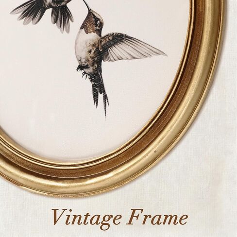 JarThenaAMCS Vintage Gold Framed Wall Art Hummingbird Canvas Prints Ornate Antique Style Picture Frame Sketch Painting for Living Room Bedroom Home Farmhouse Mantel Table Wall Decor, 11.4 x 9.6 Inch in Kuwait
