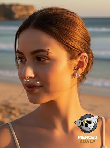 2PCS Titanium Double Hoop Gem Septum Ring | 16G Hinged Segment Ring Clicker | CZ Crystal Nose Hoop Lip Tragus Helix Daith Cartilage Earring | Implant Grade Body Piercing Jewelry in Kuwait