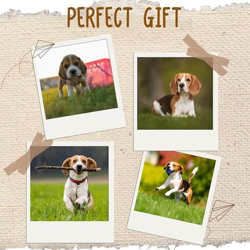 هدايا InnoBeta Beagle للنساء والرجال، هدايا للكلاب والأم والكلاب والأب في أعياد الميلاد والكريسماس، جوارب دائرية بمقاس واحد in Kuwait