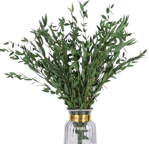 Real Eucalyptus Stems Greenery Decor 20PCS 17" Dried Willow Eucalyptus Plant Preserved Greenery Stems for Home Vase Filler Wedding Flowers Arrangement Spring Mother's Day Decorations in Saudi Arabia