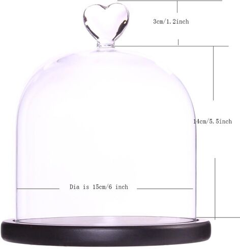 Clear Glass Dome Display Case Heart Handle Cloche with Wood Base Dia 6 inch in Saudi Arabia