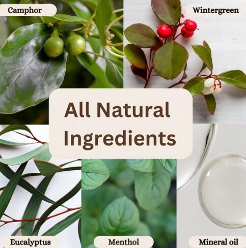 مجموعة زيوت الصحة SANO Longevity Essentials بحجم مناسب للسفر (6 عبوات × 5 مل) | العلاج بالروائح، وتخفيف التوتر، وتخفيف الصداع، والاسترخاء in Kuwait