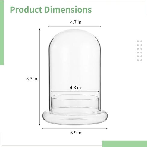 Glass Display Cloche Dome, 8.3 x 5.9 in Plant Terrarium Container with Base, Clear Glass Cover, Decorative Tabletop Display Case for Plants, Flowers, Collectibles & Keepsakes in Saudi Arabia