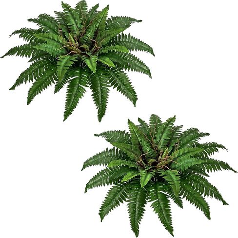 36In Artificial Boston Ferns Bush, Set of 2 Large Faux Ferns Plants, 39 Branches Fake Ferns Vines for Home Living Room Decor, Indoor and Outdoor in Saudi Arabia