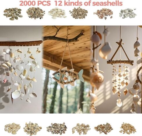 2000 PCS 12 Kinds of Tiny Sea Shells for Crafting,Small Seashells for Crafts Sea Shells for Decorating,Jewelry Making,Vase Filler,Candle Decor and DIY Fish Tank in Saudi Arabia