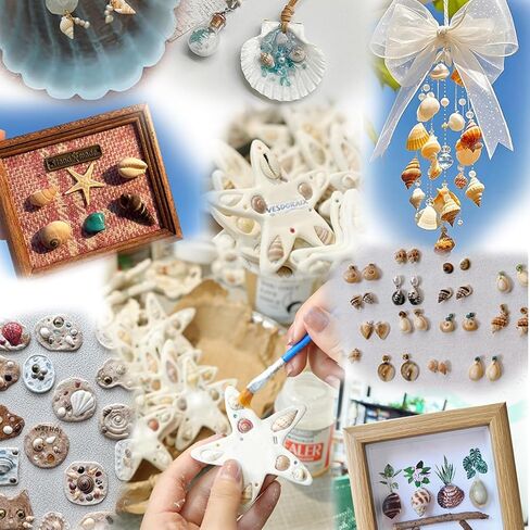 2000 PCS 12 Kinds of Tiny Sea Shells for Crafting,Small Seashells for Crafts Sea Shells for Decorating,Jewelry Making,Vase Filler,Candle Decor and DIY Fish Tank in Saudi Arabia