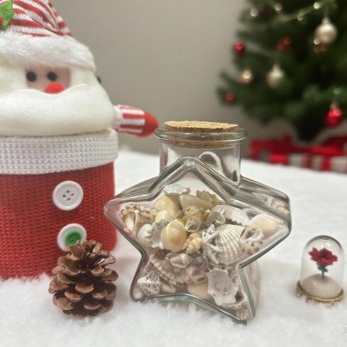 2000 PCS 12 Kinds of Tiny Sea Shells for Crafting,Small Seashells for Crafts Sea Shells for Decorating,Jewelry Making,Vase Filler,Candle Decor and DIY Fish Tank in Saudi Arabia