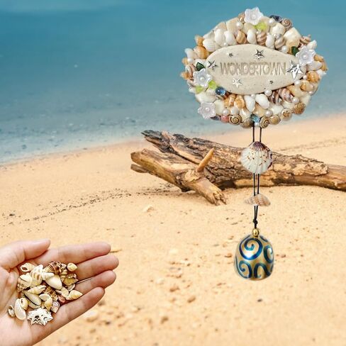 2000 PCS 12 Kinds of Tiny Sea Shells for Crafting,Small Seashells for Crafts Sea Shells for Decorating,Jewelry Making,Vase Filler,Candle Decor and DIY Fish Tank in Saudi Arabia