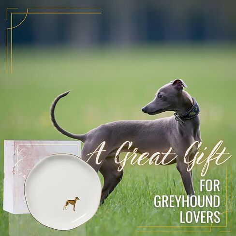 هدايا InnoBeta Greyhound للنساء - طبق حلقي من السيراميك مصنوع يدويًا مقاس 11.43 سم مع زخرفة ذهبية، طبق حلية مزخرف لأقراط الخواتم in Kuwait