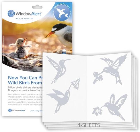 WINDOWALERT Hummingbird Anti-Collision Decal Blemished 4-Pack - UV-Reflective Window Decal to Protect Wild Birds from Glass Collisions - Made in The USA in Saudi Arabia