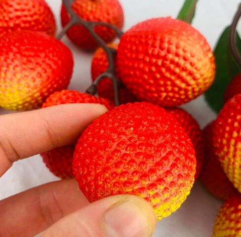 2 Bunches Artificial Lychee Fruit 7.8" Lifelike Fake Lychee with Leaves, Realistic Kitchen/Dining Table Decor, Party Decoration, Plastic Fruit Props for Photography, Display, or Cabinet Styling in Saudi Arabia