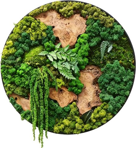 vadmepiop Moss Wall Art Natural Moss and Wood Handcrafted Rustic Charm, Modern Nature Wall Hanging for Living Room & Office, Office, Restaurant, Bar & Cafe No Maintenance (15.8in, Round) in Saudi Arabia