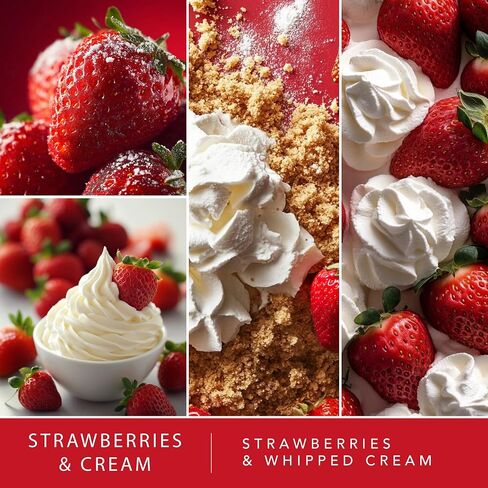 ScentSationals Strawberries & Cream Fragrance Oil Plug In Air Freshener Refills 3-Pack - Works with Scentsationals Wall Plugs, Long-Lasting Home Fragrance, 0.8 fl oz Each, Packaging May Vary in Kuwait