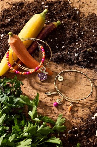 Alex and Ani Farmer's Market Beaded Bangle, Brass Shiny Gold in Kuwait