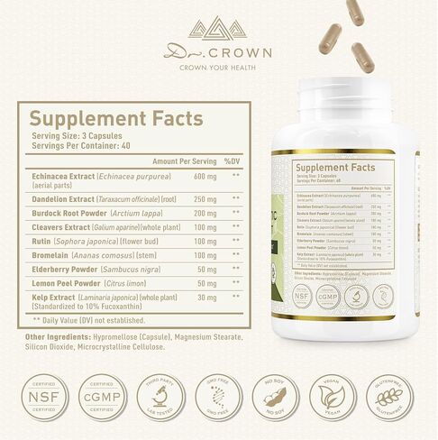 Lymphatic Drainage Supplement, Natural Herbal Blend with Echinacea, Dandelion, Burdock & Cleavers – Supports Lymphatic System, Fluid Balance and Immune Health | Non-GMO | Gluten-Free - 120 Capsules in Saudi Arabia