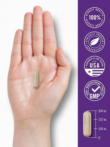 Carlyle Probiotic 100 Billion CFU | 120 Capsules | Delayed Release | 31 Probiotic Strains | with Prebiotic Fiber | Vegan, Non GMO, Gluten Free in Kuwait