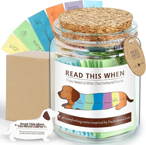 Extrogif Dachshund Gifts for Women, “Read This When" Message Jar with 36 Comfort Notes, Thoughtful Weiner Dog Gift for Dachshund Owners, Quiet Emotional Support Keepsake in Saudi Arabia