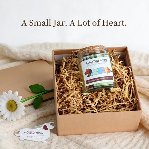 Extrogif Dachshund Gifts for Women, “Read This When" Message Jar with 36 Comfort Notes, Thoughtful Weiner Dog Gift for Dachshund Owners, Quiet Emotional Support Keepsake in Saudi Arabia