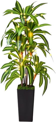 شجرة Dracaena الاصطناعية بطول 5 أقدام، نباتات وهمية مع زارع أسود طويل القامة - شجرة وهمية طويلة نباتات صناعية للأرضيات الداخلية مع طحالب - نباتات صناعية داخلية للمكتب وغرفة المعيشة وديكور المنزل in Kuwait