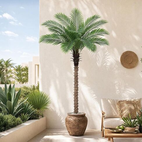 6FT Artificial Phoenix Palm Tree for Outdoors, UV Resistant Fake Coconut Silk Palm, Large Faux Tropical Tree for Outside Patio Poolside Home Office Indoor Decor, Black Pot Included in Kuwait