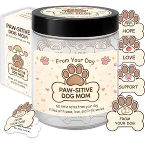 Positive Capsules Affirmation Jar, 60 Daily Motivation & Positive Affirmations Cards, Self Care Gifts for Women, Girls, Teens, Kids, Stress Relief, Uplifting & Encouragement Teacher Appreciation Gifts in Saudi Arabia