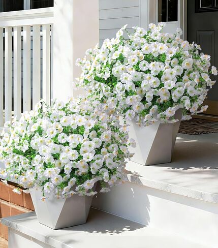 Ivydale 24 Bundles Artificial Flowers for Outdoors Summer Outside Decoration, Faux Silk Petunias White Fake Flowers Bulk Realistic UV Resistant Plants for Outdoor Planters Porch Patio Garden Yard Home in Saudi Arabia