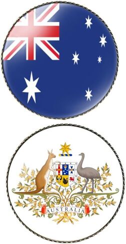 Round 1 Inch 2 Pcs Multiple Countries Nation Flag and National Emblem Pin Coat of Arms Souvenir Brooch Lapel Badge in Kuwait