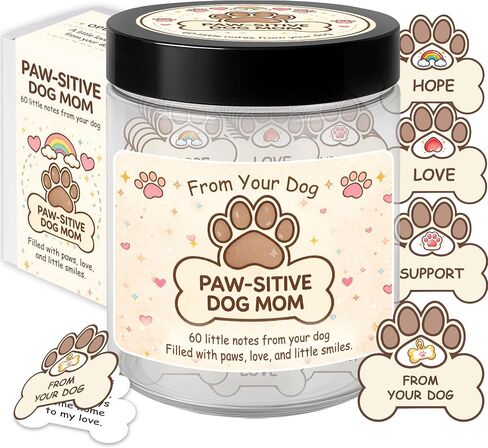 Positive Capsules Affirmation Jar, 60 Daily Motivation & Positive Affirmations Cards, Self Care Gifts for Women, Girls, Teens, Kids, Stress Relief, Uplifting & Encouragement Teacher Appreciation Gifts in Saudi Arabia