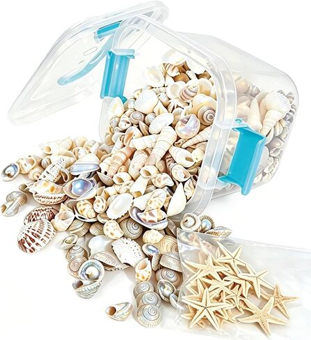 Tiny sea shells & 30 Tiny Starfish Decor Mixed Ocean Beach Spiral Seashells for Home Decor,Wedding Decor, Ocean Theme Decor, DIY Fish Tank and vase filler & decorative basket fillers (0.48"-1.35") in Saudi Arabia