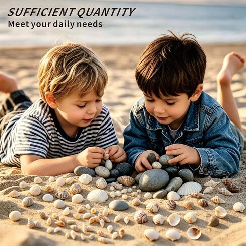 Tiny sea shells & 30 Tiny Starfish Decor Mixed Ocean Beach Spiral Seashells for Home Decor,Wedding Decor, Ocean Theme Decor, DIY Fish Tank and vase filler & decorative basket fillers (0.48"-1.35") in Saudi Arabia