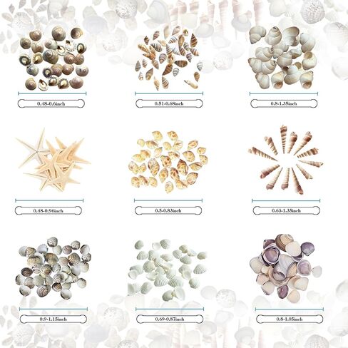 Tiny sea shells & 30 Tiny Starfish Decor Mixed Ocean Beach Spiral Seashells for Home Decor,Wedding Decor, Ocean Theme Decor, DIY Fish Tank and vase filler & decorative basket fillers (0.48"-1.35") in Saudi Arabia