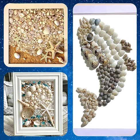 Tiny sea shells & 30 Tiny Starfish Decor Mixed Ocean Beach Spiral Seashells for Home Decor,Wedding Decor, Ocean Theme Decor, DIY Fish Tank and vase filler & decorative basket fillers (0.48"-1.35") in Saudi Arabia