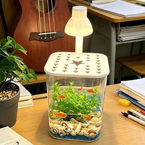 Tiny sea shells & 30 Tiny Starfish Decor Mixed Ocean Beach Spiral Seashells for Home Decor,Wedding Decor, Ocean Theme Decor, DIY Fish Tank and vase filler & decorative basket fillers (0.48"-1.35") in Saudi Arabia