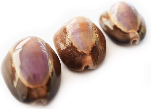 12 Purple Top Snakehead Cowrie Shells 1" Beach Crafts Coastal Decor Ocean Art - not drilled in Saudi Arabia