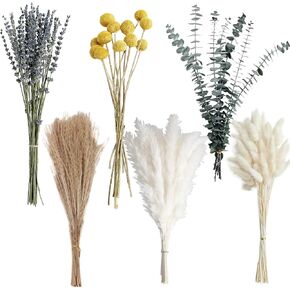 Dried Pampas Grass Bouquet – Boho Pampas Grass Decor for Home, Vase Fillers & Wedding — Natural Dried Flowers, Tall Pampas Grass for Floor Vase, Coastal, Scandinavian & Boho Room Decor (No Vase) in Kuwait