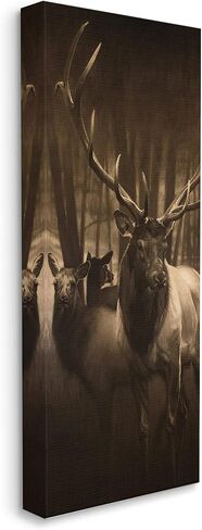 Stupell Industries Strong Buck and Woodland Deer Portrait Realistic Drawing in Kuwait