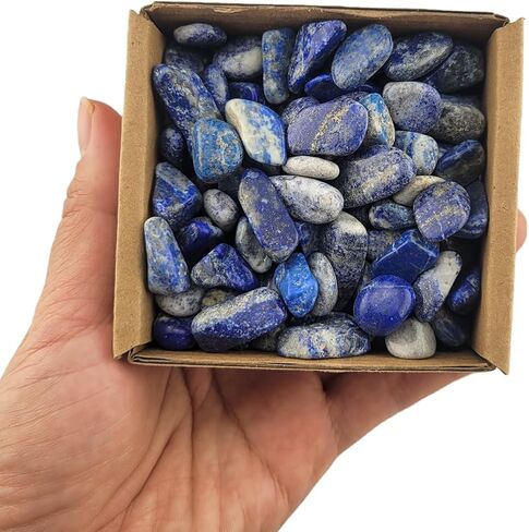 1,000 Carats Moss Agate Handpicked Tumbled Stones Crystals Chips Bulk Pocket Stones for Healing, Reiki, Meditation, Witchcraft and Home Decorations (Moss Agate) in Saudi Arabia