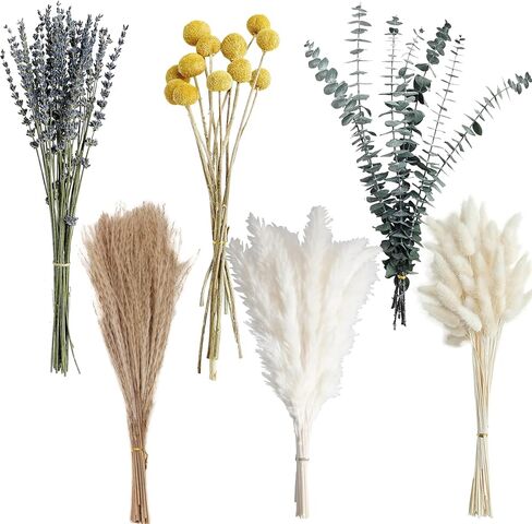 Dried Pampas Grass Bouquet – Boho Pampas Grass Decor for Home, Vase Fillers & Wedding — Natural Dried Flowers, Tall Pampas Grass for Floor Vase, Coastal, Scandinavian & Boho Room Decor (No Vase) in Saudi Arabia
