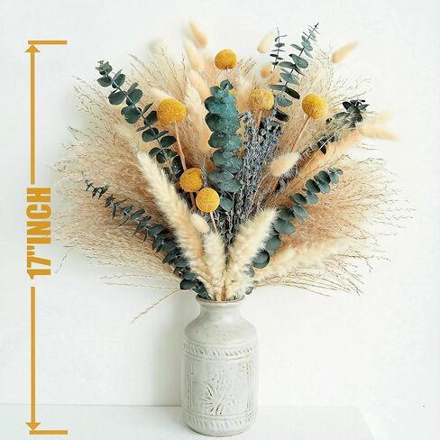 Dried Pampas Grass Bouquet – Boho Pampas Grass Decor for Home, Vase Fillers & Wedding — Natural Dried Flowers, Tall Pampas Grass for Floor Vase, Coastal, Scandinavian & Boho Room Decor (No Vase) in Saudi Arabia
