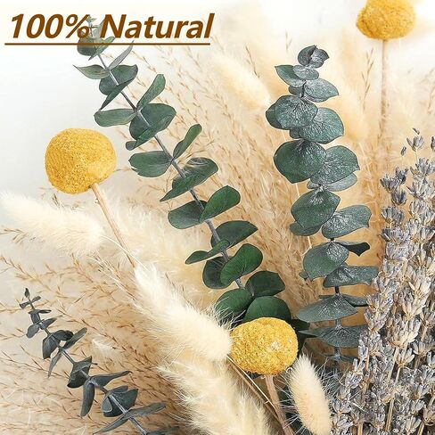 Dried Pampas Grass Bouquet – Boho Pampas Grass Decor for Home, Vase Fillers & Wedding — Natural Dried Flowers, Tall Pampas Grass for Floor Vase, Coastal, Scandinavian & Boho Room Decor (No Vase) in Saudi Arabia