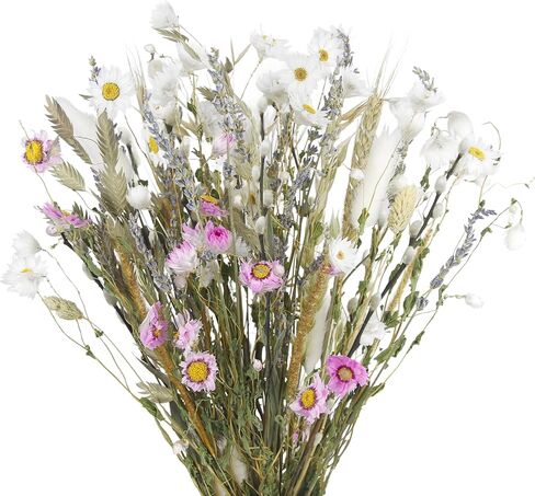 Dried Flowers Bouquet Natural Daisy Flower Dried Lavender Bunny Tails Gerber Daisies Wheat Stalks 17" Farmhouse Flowers for Rustic Boho Wedding Arrangements Home Centerpiece Decoration DIY in Saudi Arabia