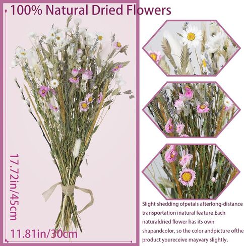 Dried Flowers Bouquet Natural Daisy Flower Dried Lavender Bunny Tails Gerber Daisies Wheat Stalks 17" Farmhouse Flowers for Rustic Boho Wedding Arrangements Home Centerpiece Decoration DIY in Saudi Arabia