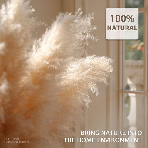 15 Stems 42"/3.5 ft Natural Pampas Grass Decor Tall, Large pompas Grass,Floor Vase Filler,Tall Pampas Grass for Floor Vase,Wedding Floral Arrangements, Party,Rustic Farmhouse, Boho Home Decor in Kuwait
