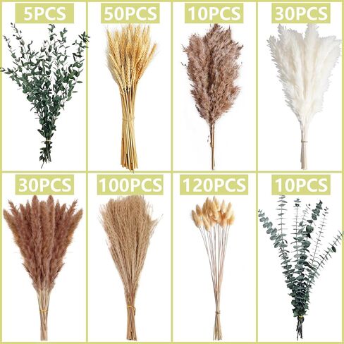 355PCS Dried Pampas Grass Bouquet Set – Dried Eucalyptus, Brown Pampas Grass & White Pampas Grass for Boho Baby Shower Decorations, Boho Wedding Decor, Pampas Grass Wall Decor, Home Decorations Modern in Kuwait