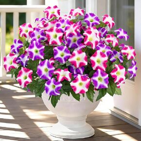 MARTINE MALL Artificial Flowers for Outdoors, 4 Bundles Realistic Fake Outdoor Flowers, UV Resistant Silk Petunia Flower for Outside Look Real Faux Flower Plants for Outdoor Porch Decor, Purple White in Saudi Arabia