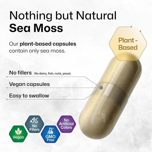 BIO KRAUTER® 2-in-1 Sea Moss for Overall Support - Vegan Bladderwrack & Sea Moss Capsules for Women & Men - Natural Сhondrus Сrispus Seaweed Supplement 1600 mg - 125 Days of Supply, Non-GMO in Kuwait
