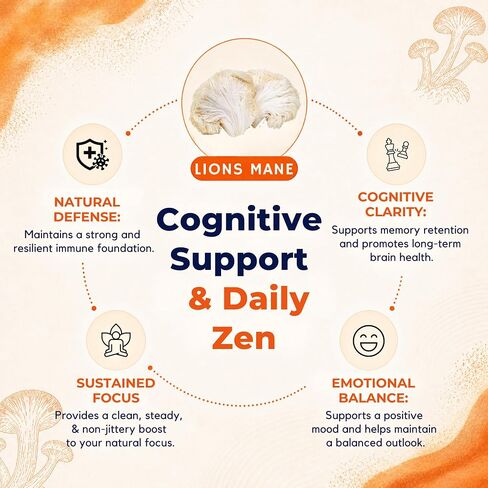 Malama Organic Mushroom Hot Cacao Mix, Lion's Mane Mushroom Powder with Fair Trade Cacao for Focus, Memory, & Immune Support – Vegan Superfood, Non GMO, 3.5 oz (50 Servings) in Kuwait