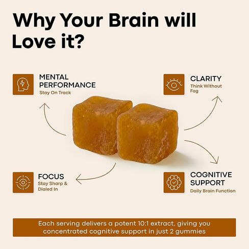 Lion’s Mane Mushroom Gummies – 1000mg Fruiting Body Extract per Serving – Brain & Focus Support – Daily Nootropic – Vegan, Low Sugar, Non-GMO – 60 Ct in Kuwait